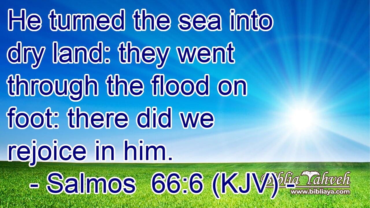 He turned the sea into dry land: they went through the flood on foot: there did we rejoice in him.