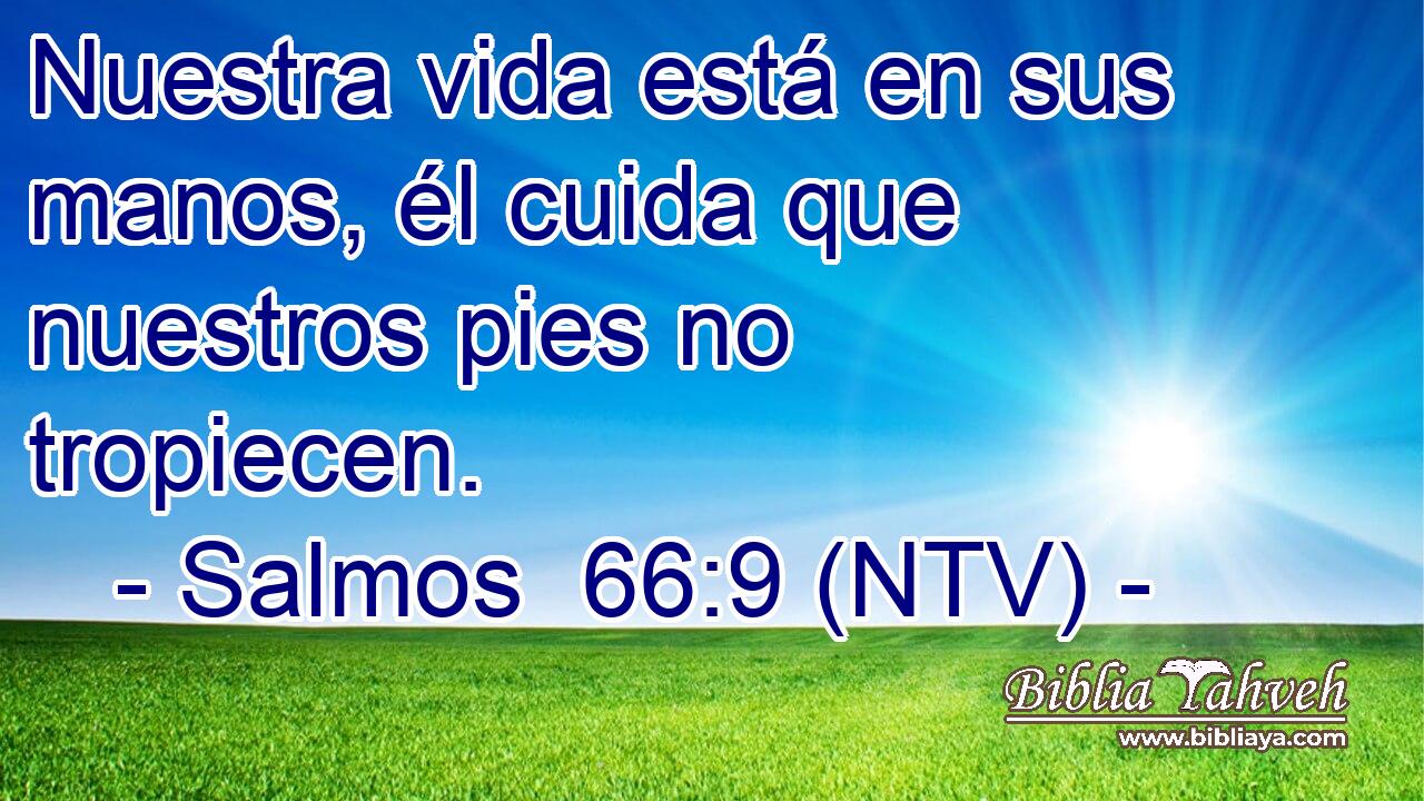 Nuestra vida está en sus manos, él cuida que nuestros pies no tropiecen.