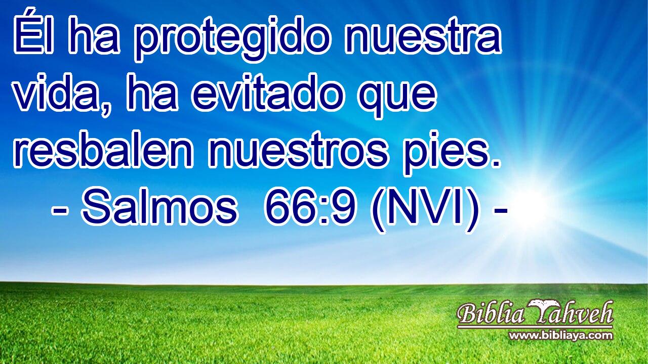  Él ha protegido nuestra vida, ha evitado que resbalen nuestros pies. 