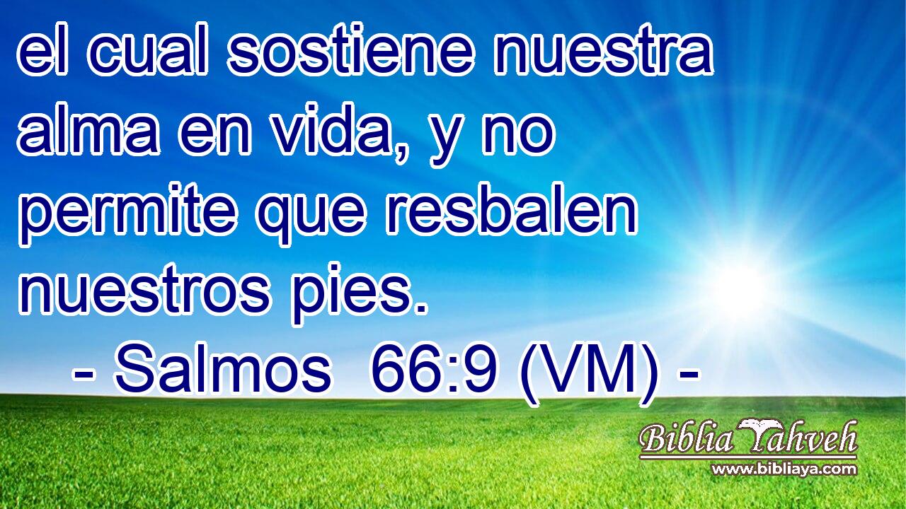  el cual sostiene nuestra alma en vida, y no permite que resbalen nuestros pies. 
