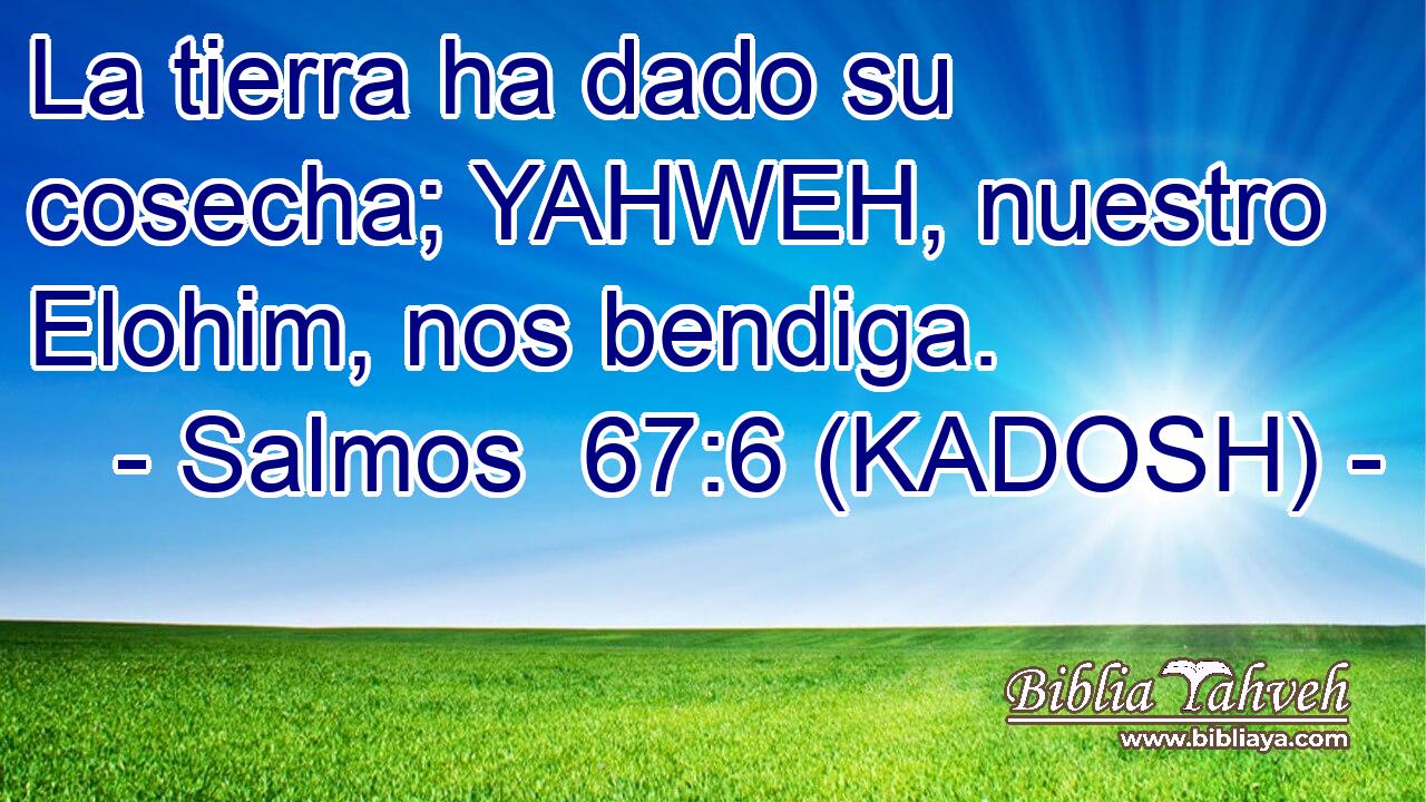  La tierra ha dado su cosecha; YAHWEH, nuestro Elohim, nos bendiga. 
