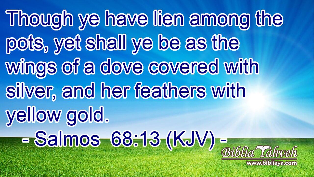 Though ye have lien among the pots, yet shall ye be as the wings of a dove covered with silver, and her feathers with yellow gold.