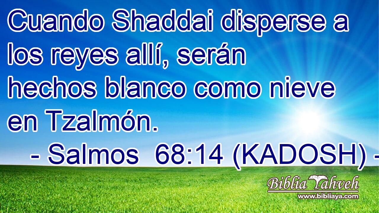  Cuando Shaddai disperse a los reyes allí, serán hechos blanco como nieve en Tzalmón. 