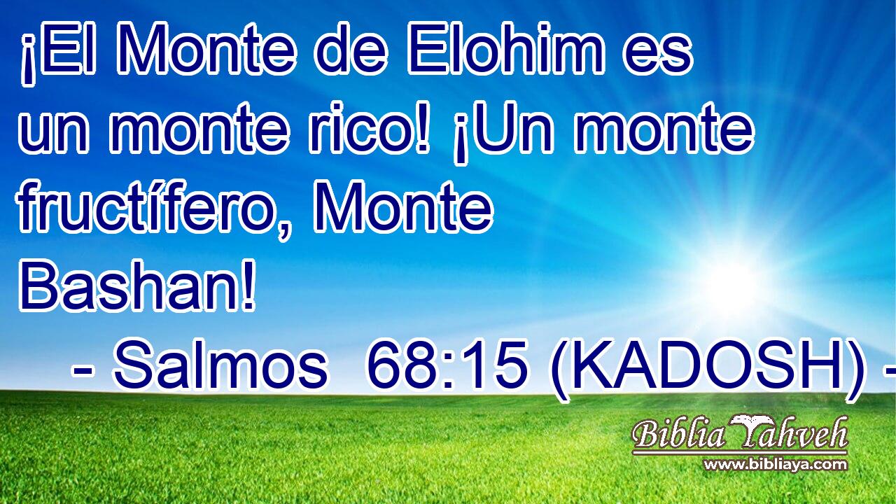  ¡El Monte de Elohim es un monte rico! ¡Un monte fructífero, Monte Bashan! 