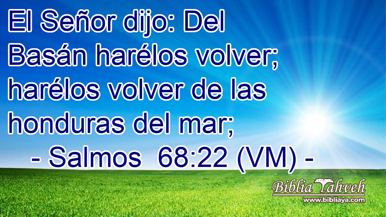  El Señor dijo: Del Basán harélos volver; harélos volver de las honduras del mar; 