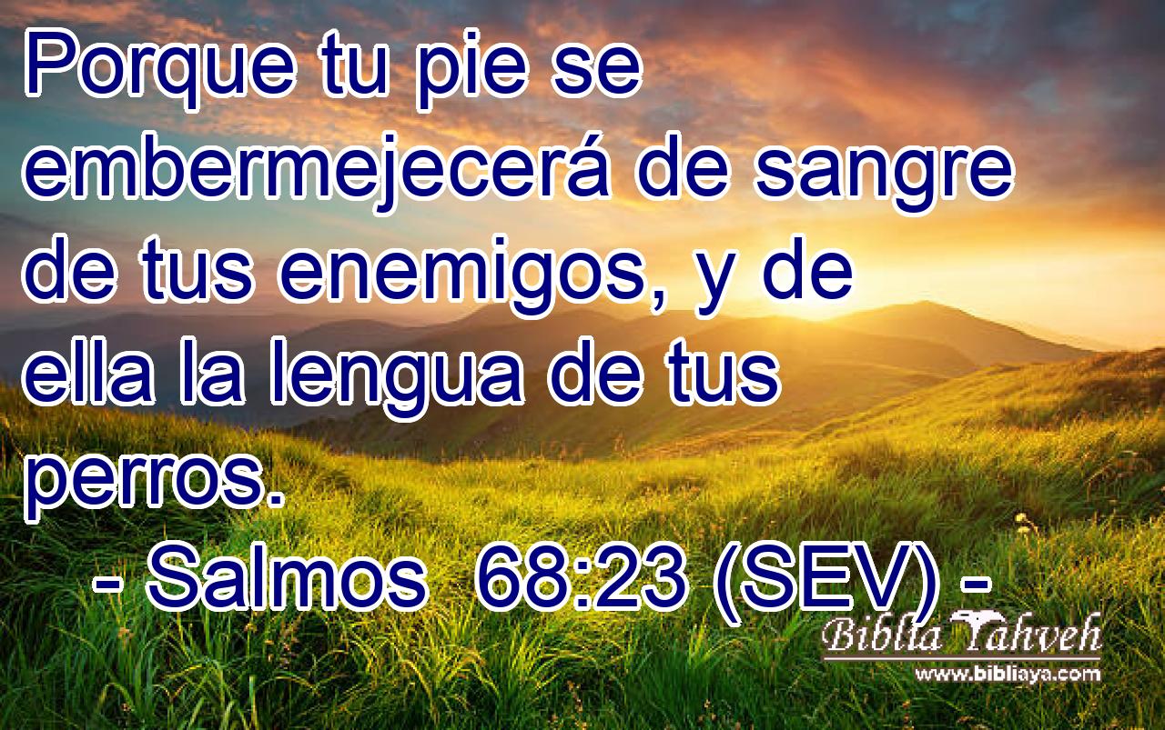 Porque tu pie se embermejecerá de sangre de tus enemigos, y de ella la lengua de tus perros.