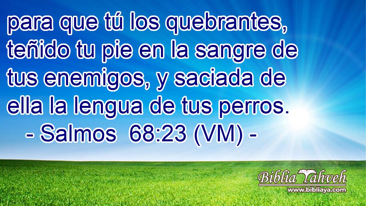 para que tú los quebrantes, teñido tu pie en la sangre de tus enemigos, y saciada de ella la lengua de tus perros. 