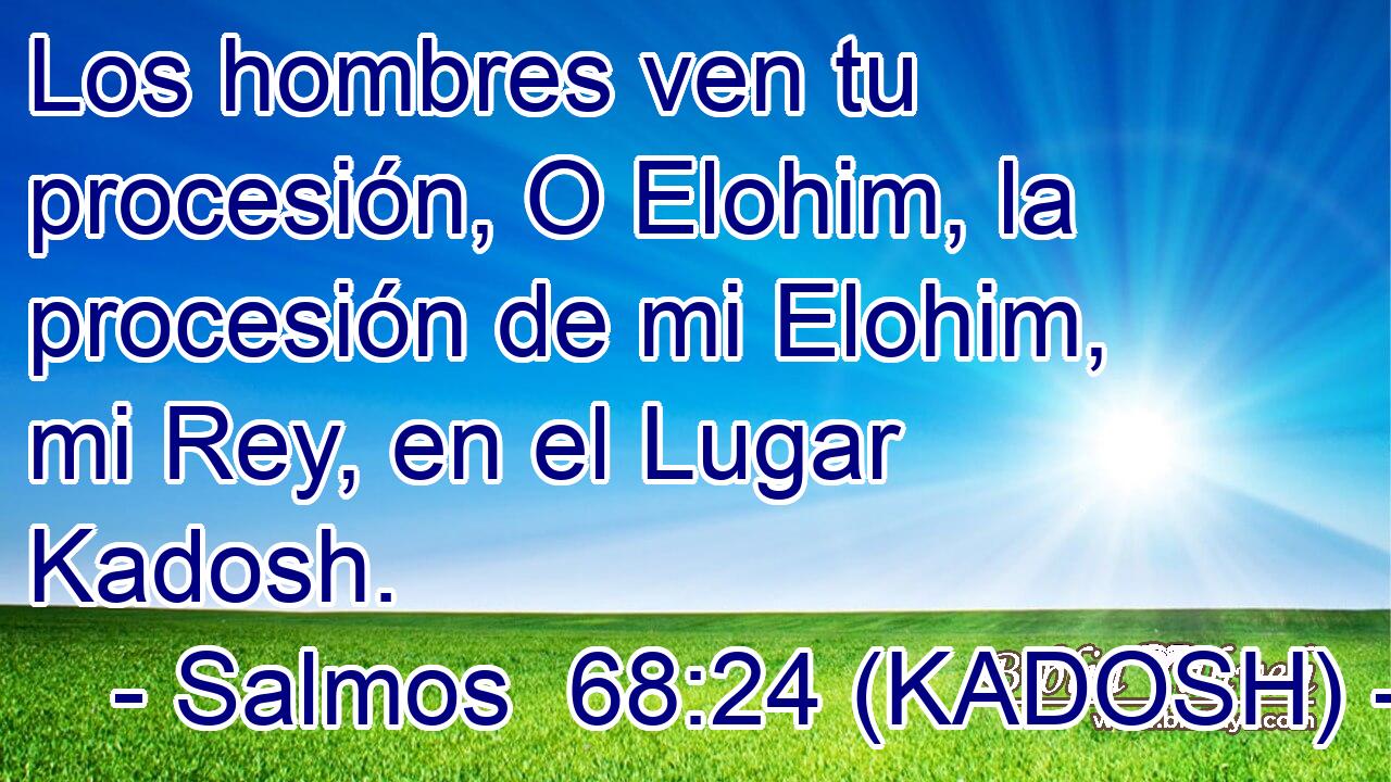  Los hombres ven tu procesión, O Elohim, la procesión de mi Elohim, mi Rey, en el Lugar Kadosh. 