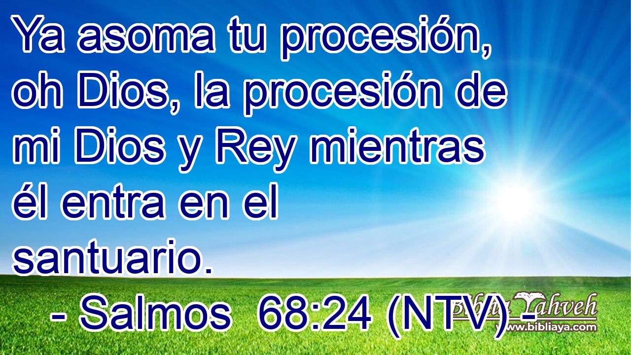 Ya asoma tu procesión, oh Dios, la procesión de mi Dios y Rey mientras él entra en el santuario.