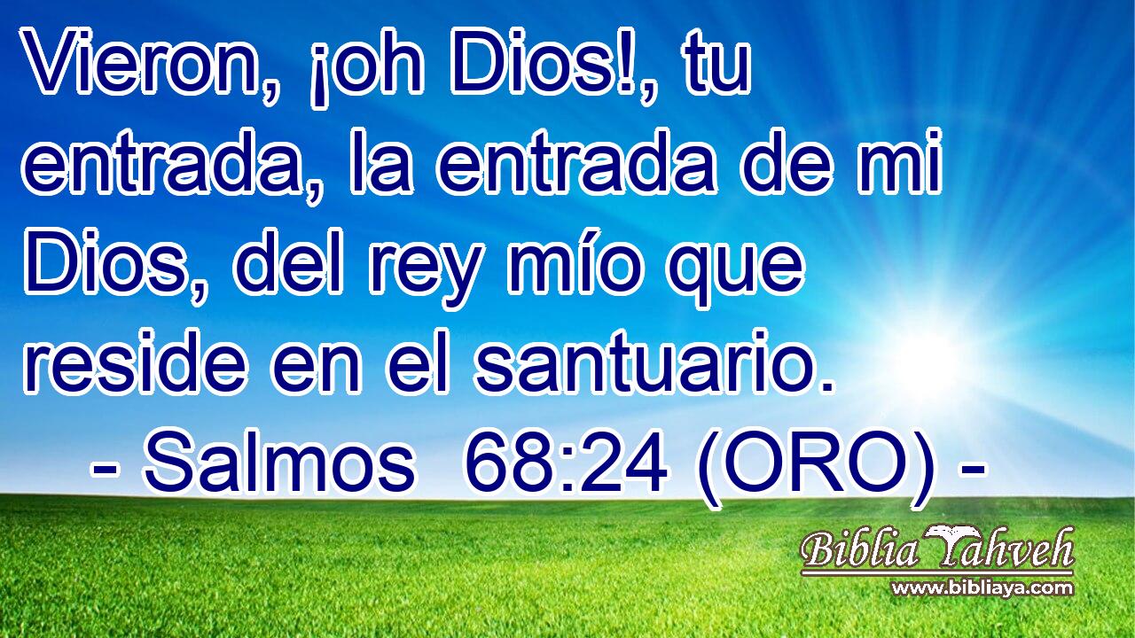  Vieron, ¡oh Dios!, tu entrada, la entrada de mi Dios, del rey mío que reside en el santuario. 