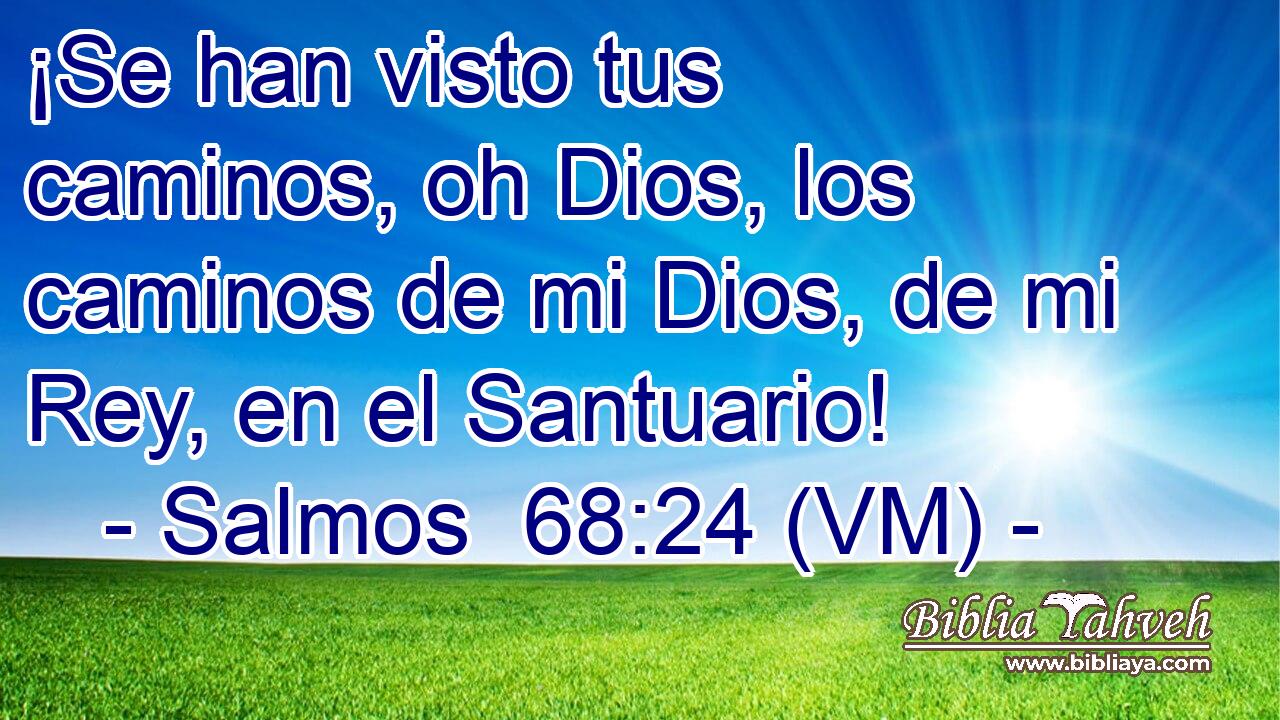  ¡Se han visto tus caminos, oh Dios, los caminos de mi Dios, de mi Rey, en el Santuario! 