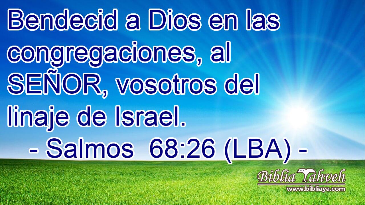 Bendecid a Dios en las congregaciones, al SEÑOR, vosotros del linaje de Israel.