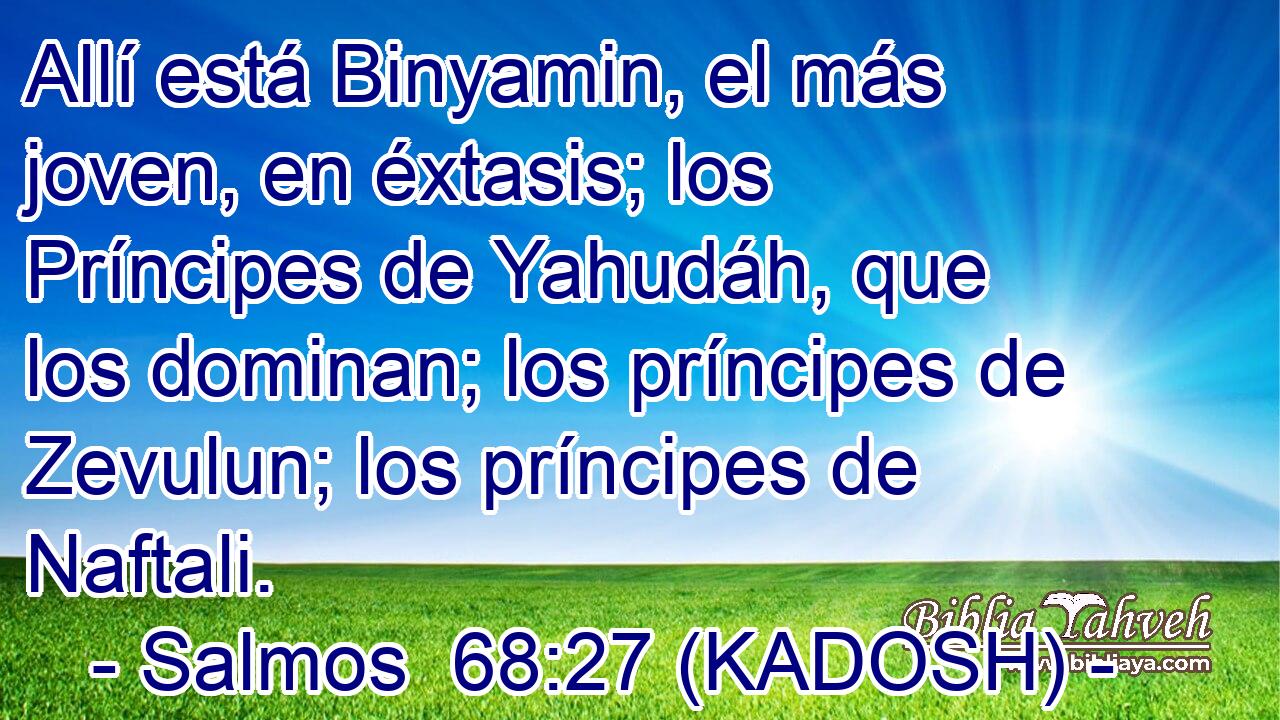  Allí está Binyamin, el más joven, en éxtasis; los Príncipes de Yahudáh, que los dominan; los príncipes de Zevulun; los príncipes de Naftali. 