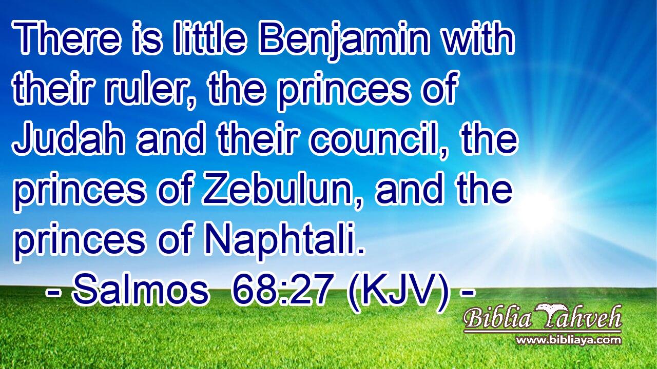 There is little Benjamin with their ruler, the princes of Judah and their council, the princes of Zebulun, and the princes of Naphtali.