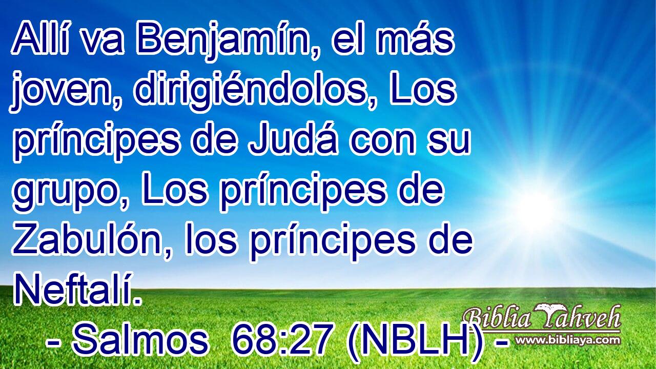  Allí va Benjamín, el más joven, dirigiéndolos, Los príncipes de Judá con su grupo, Los príncipes de Zabulón, los príncipes de Neftalí. 