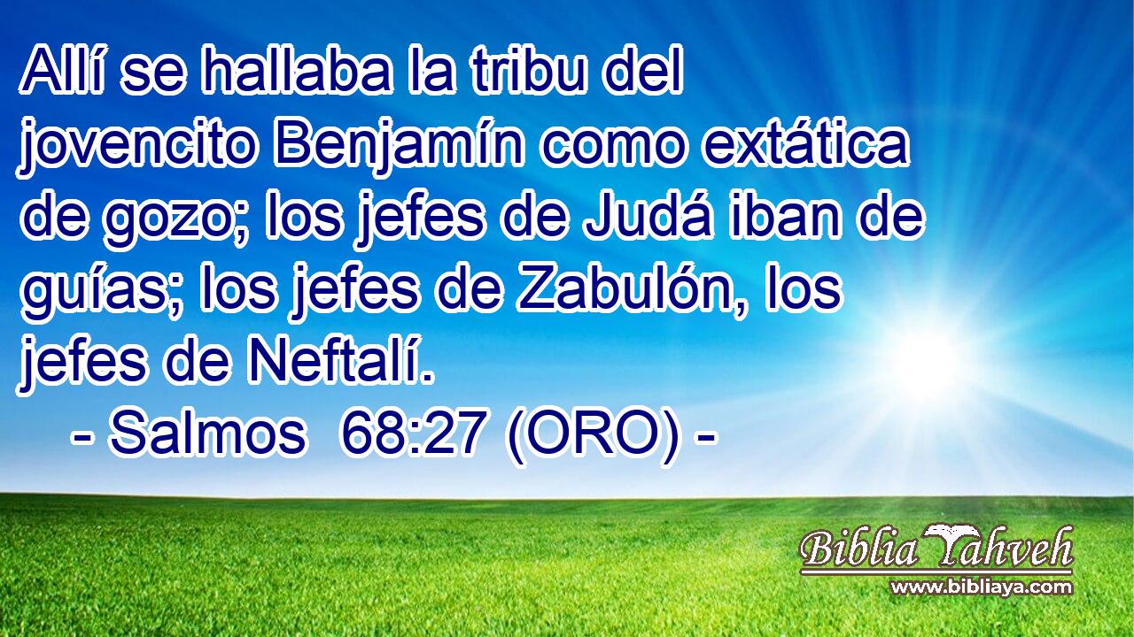  Allí se hallaba la tribu del jovencito Benjamín como extática de gozo; los jefes de Judá iban de guías; los jefes de Zabulón, los jefes de Neftalí. 