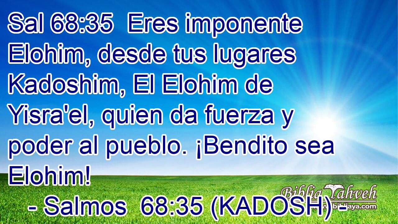  Eres imponente Elohim, desde tus lugares Kadoshim, El Elohim de Yisra'el, quien da fuerza y poder al pueblo. ¡Bendito sea Elohim! 
