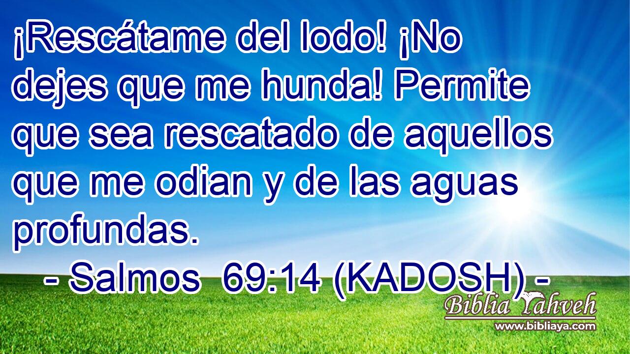  ¡Rescátame del lodo! ¡No dejes que me hunda! Permite que sea rescatado de aquellos que me odian y de las aguas profundas. 