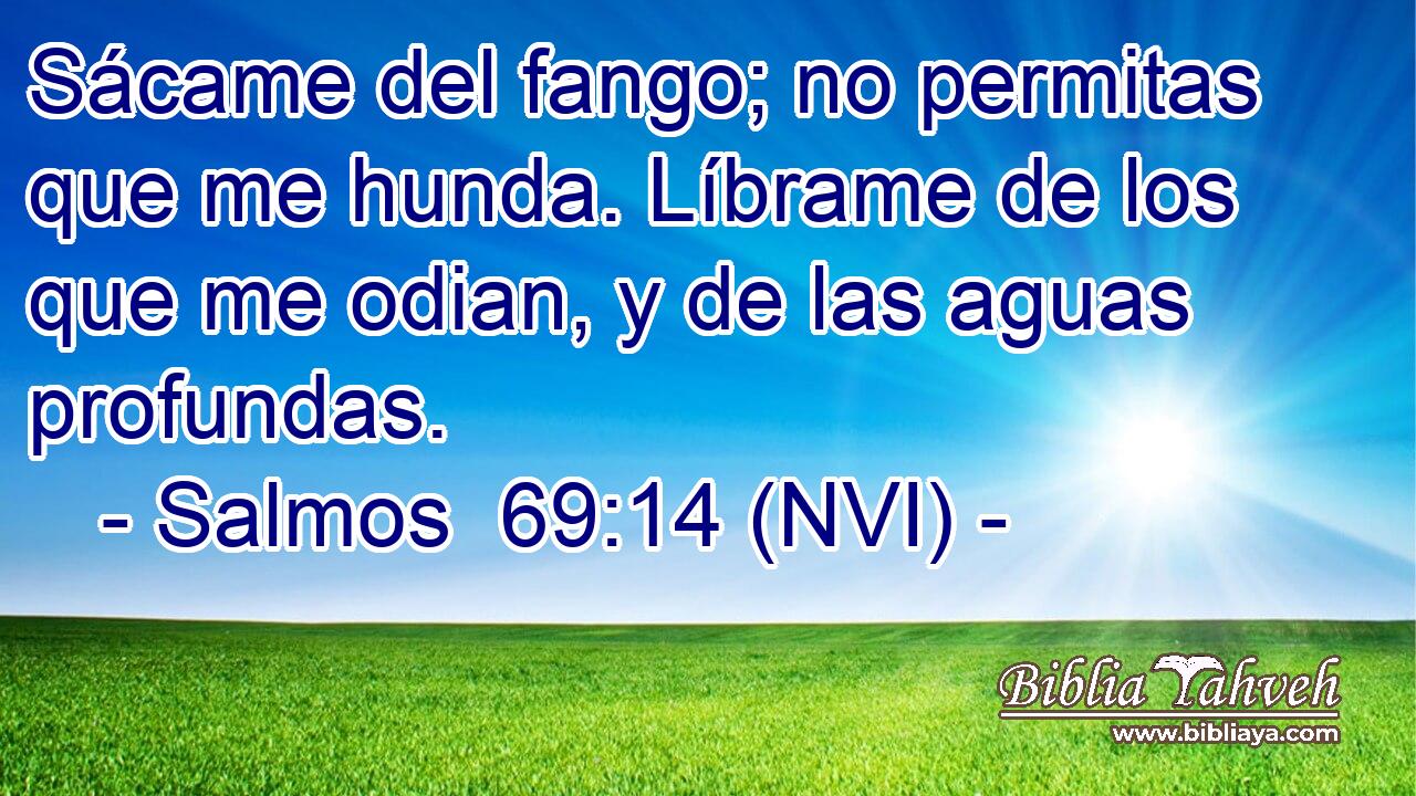  Sácame del fango; no permitas que me hunda. Líbrame de los que me odian, y de las aguas profundas. 