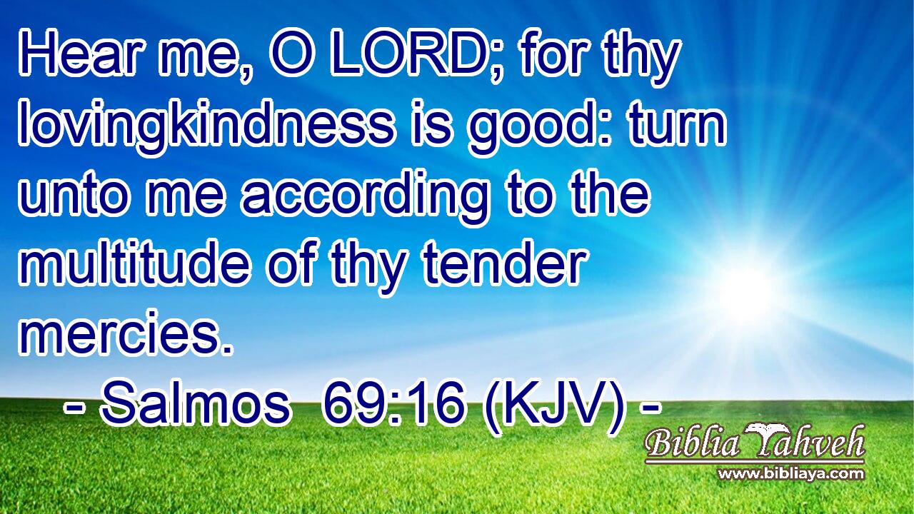 Hear me, O LORD; for thy lovingkindness is good: turn unto me according to the multitude of thy tender mercies.