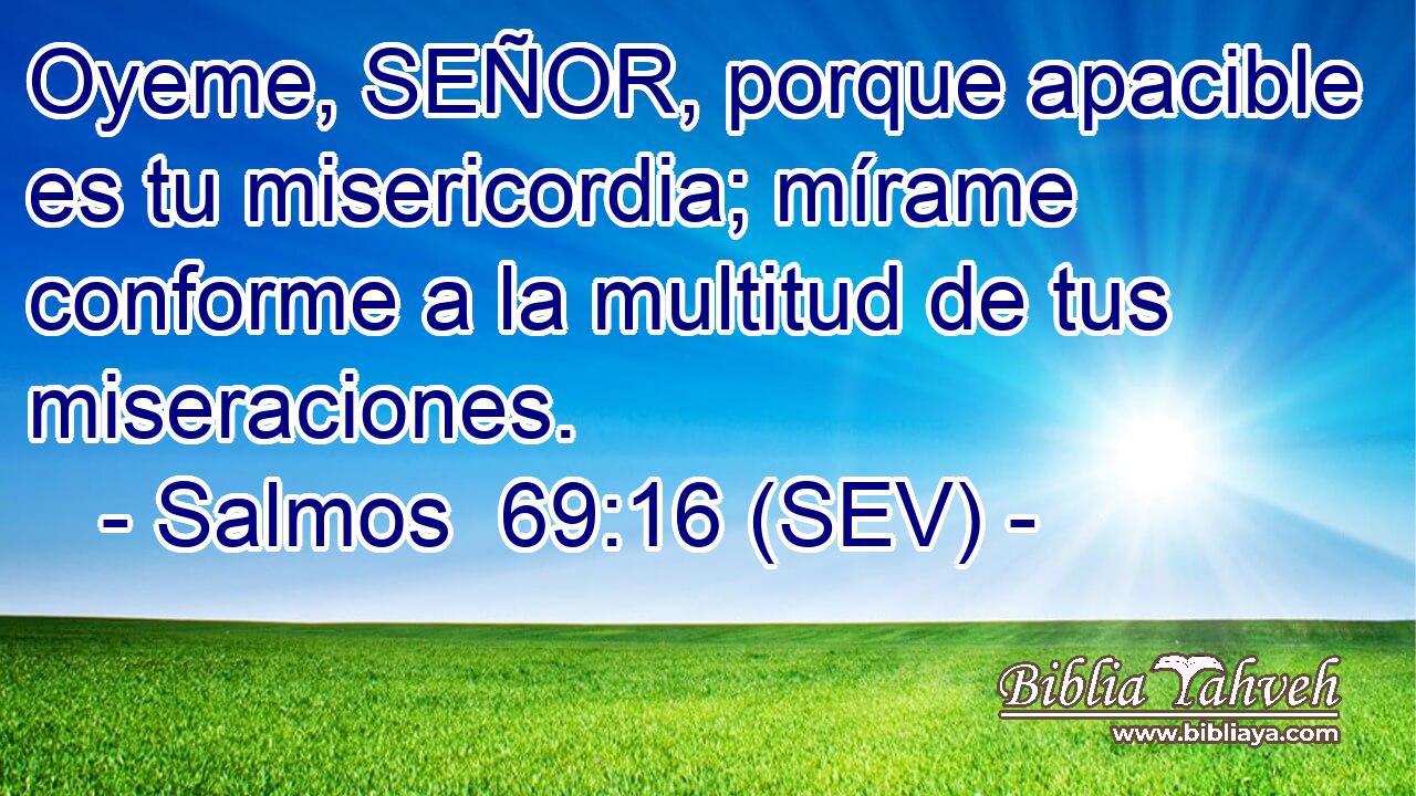Oyeme, SEÑOR, porque apacible es tu misericordia; mírame conforme a la multitud de tus miseraciones.