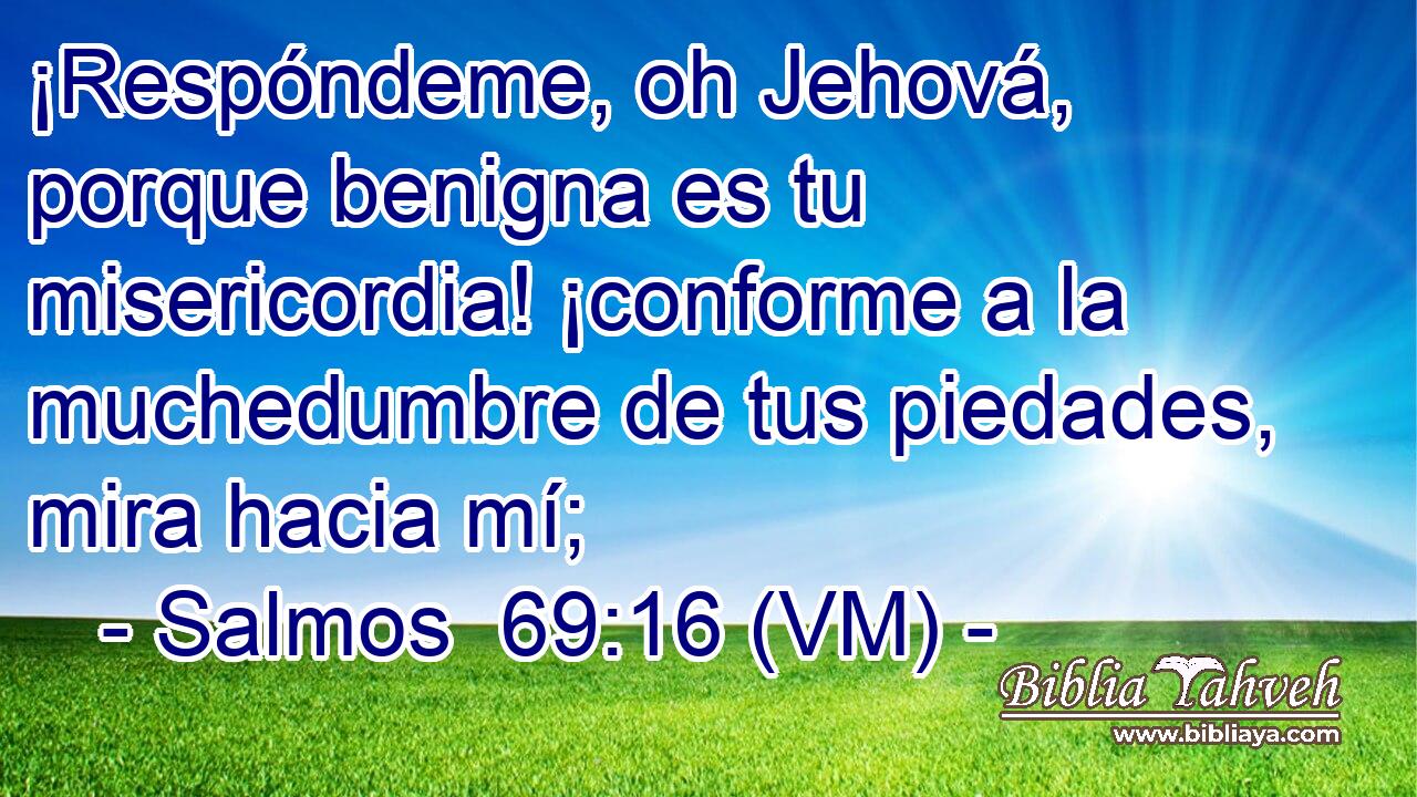 ¡Respóndeme, oh Jehová, porque benigna es tu misericordia! ¡conforme a la muchedumbre de tus piedades, mira hacia mí; 