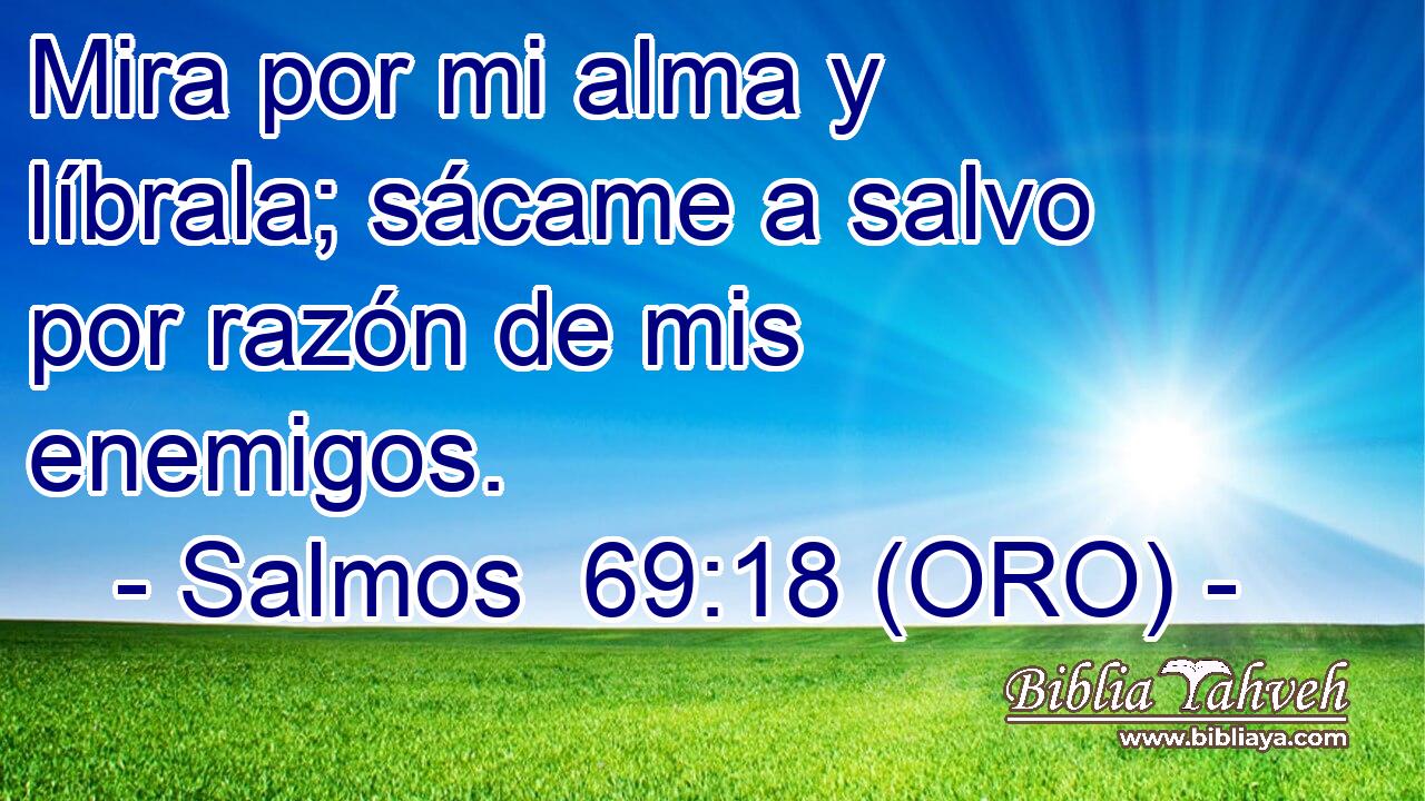  Mira por mi alma y líbrala; sácame a salvo por razón de mis enemigos. 