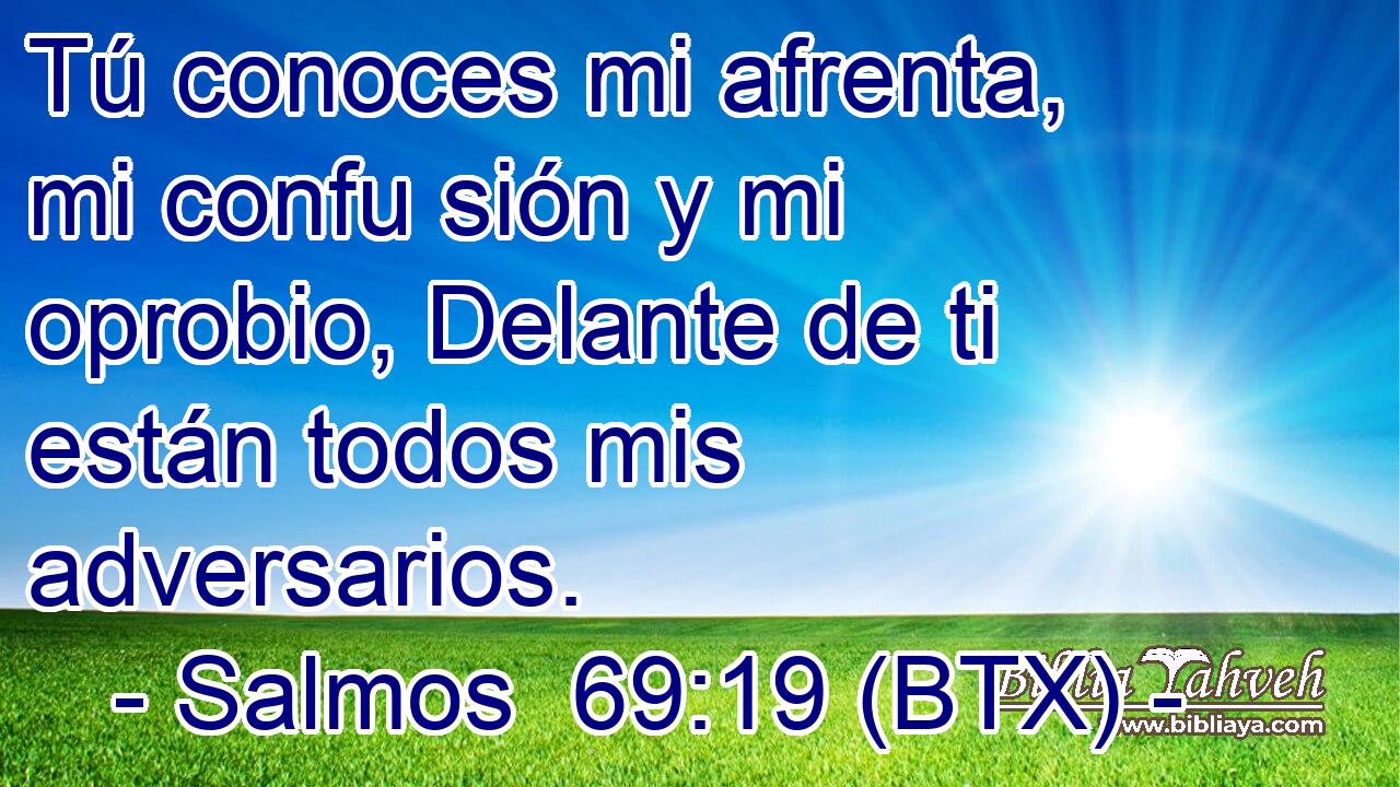 Tú conoces mi afrenta, mi confu sión y mi oprobio, Delante de ti están todos mis adversarios.