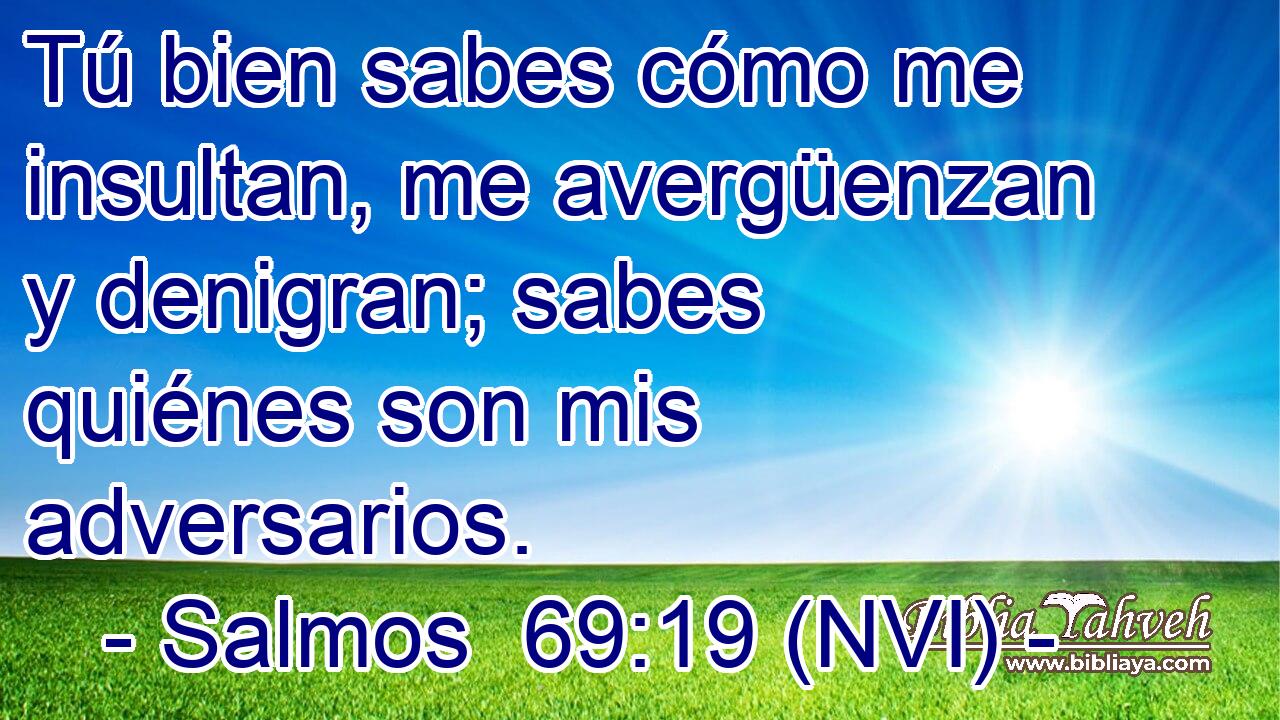  Tú bien sabes cómo me insultan, me avergüenzan y denigran; sabes quiénes son mis adversarios. 
