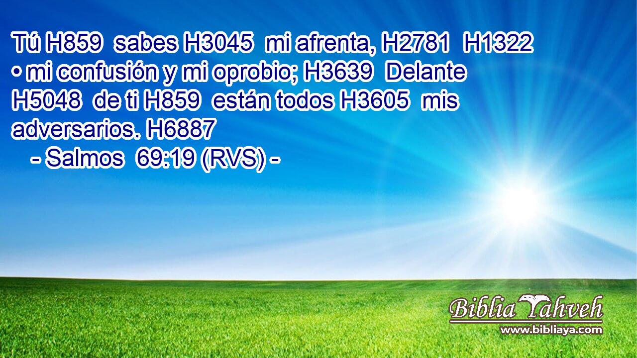 Tú H859  sabes H3045  mi afrenta, H2781  H1322 • mi confusión y mi oprobio; H3639  Delante H5048  de ti H859  están todos H3605  mis adversarios. H6887  