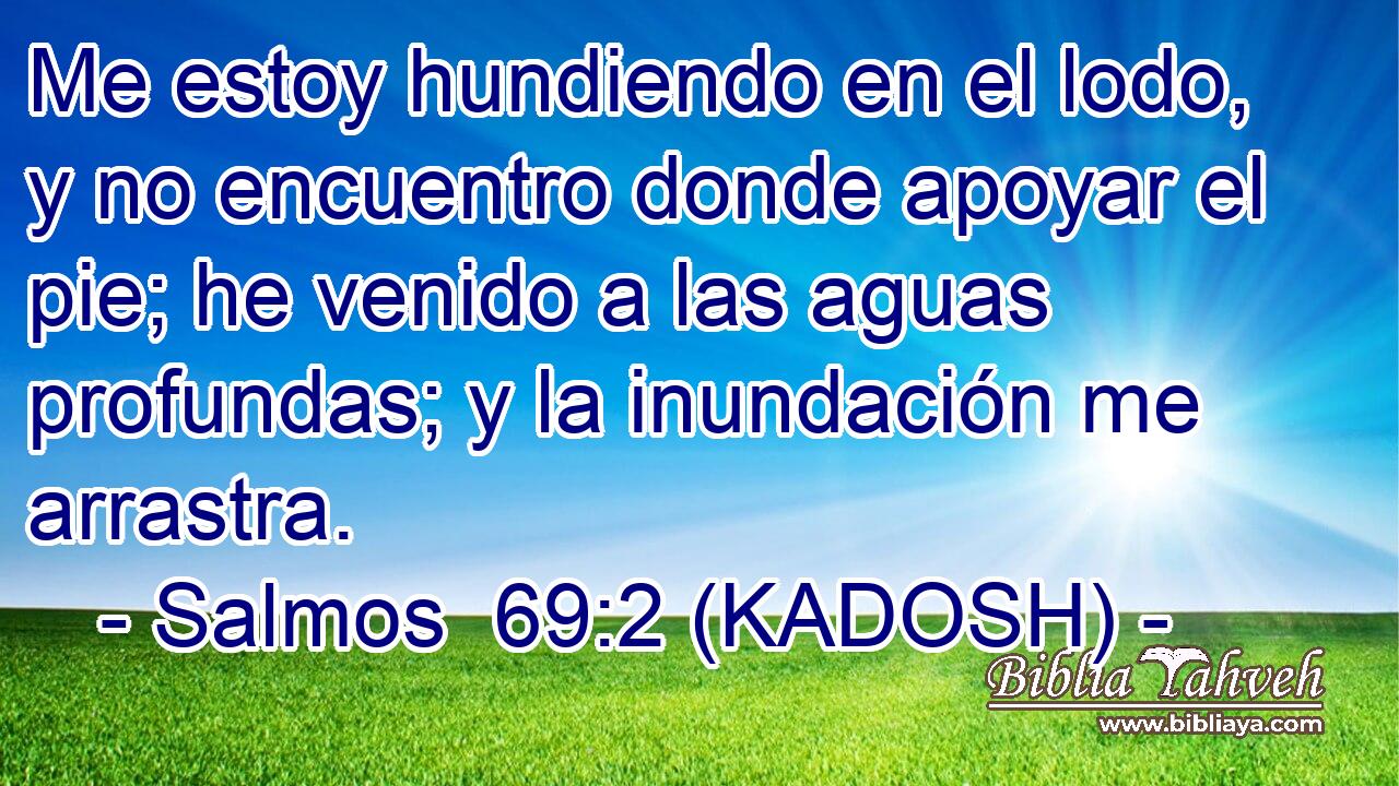  Me estoy hundiendo en el lodo, y no encuentro donde apoyar el pie; he venido a las aguas profundas; y la inundación me arrastra. 