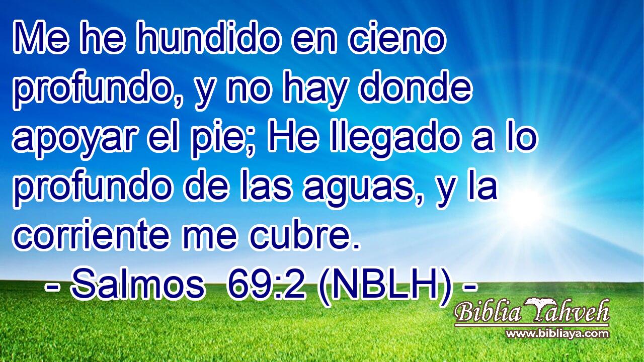  Me he hundido en cieno profundo, y no hay donde apoyar el pie; He llegado a lo profundo de las aguas, y la corriente me cubre. 
