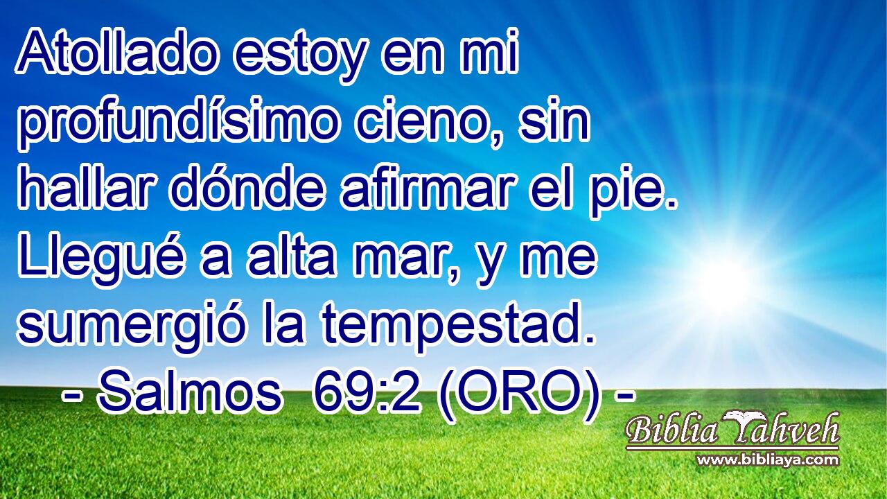  Atollado estoy en mi profundísimo cieno, sin hallar dónde afirmar el pie. Llegué a alta mar, y me sumergió la tempestad. 