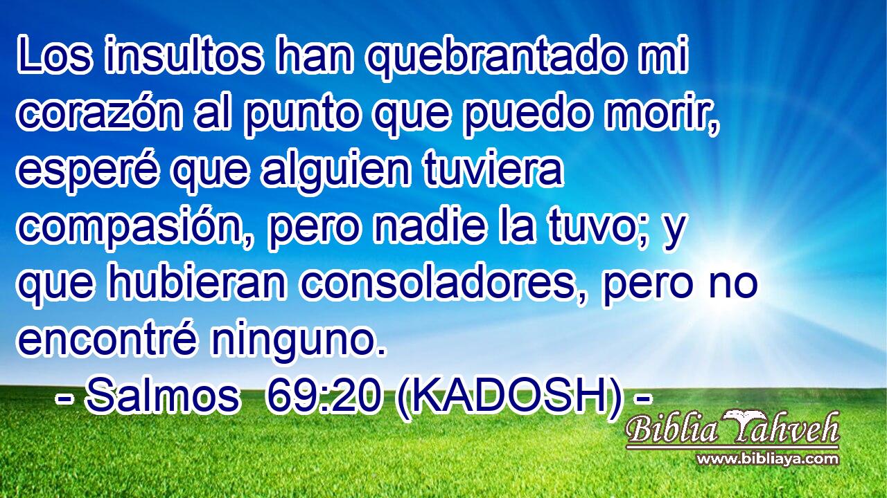 Los insultos han quebrantado mi corazón al punto que puedo morir, esperé que alguien tuviera compasión, pero nadie la tuvo; y que hubieran consoladores, pero no encontré ninguno. 