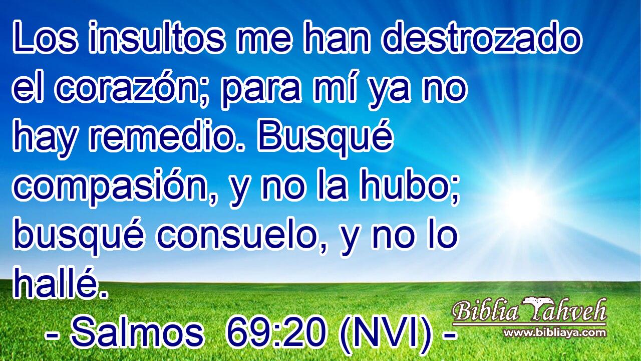  Los insultos me han destrozado el corazón; para mí ya no hay remedio. Busqué compasión, y no la hubo; busqué consuelo, y no lo hallé. 