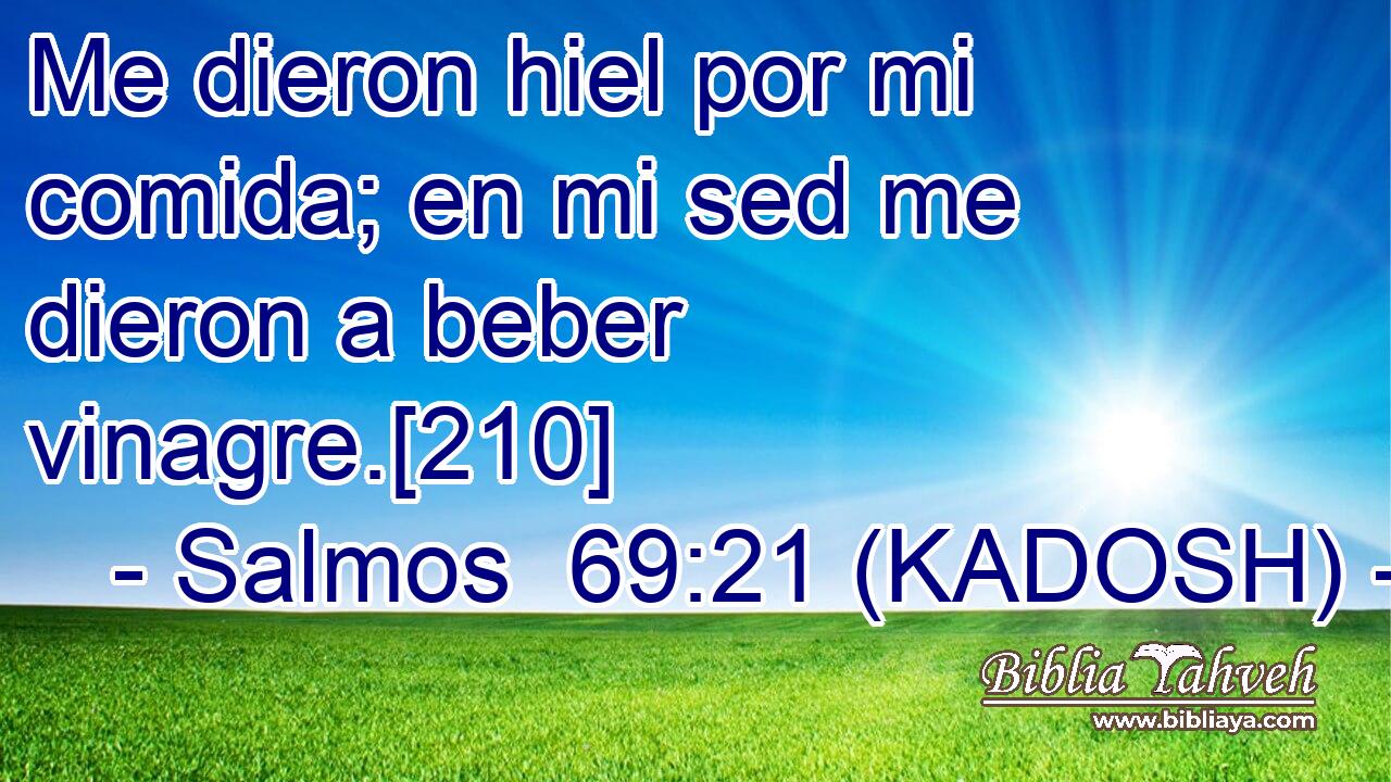  Me dieron hiel por mi comida; en mi sed me dieron a beber vinagre.[210] 