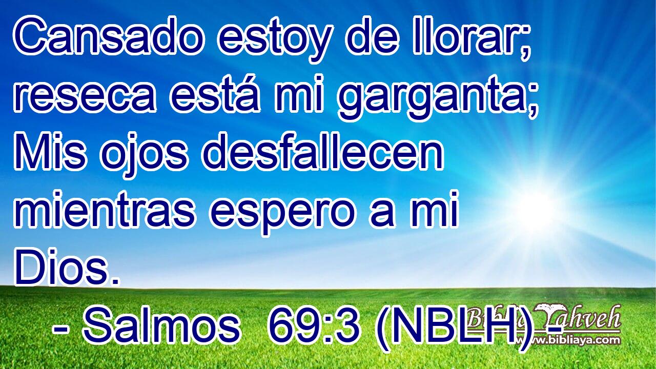  Cansado estoy de llorar; reseca está mi garganta; Mis ojos desfallecen mientras espero a mi Dios. 