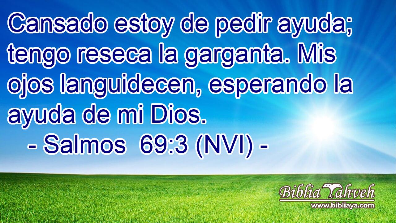  Cansado estoy de pedir ayuda; tengo reseca la garganta. Mis ojos languidecen, esperando la ayuda de mi Dios. 