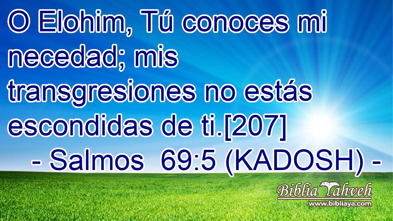  O Elohim, Tú conoces mi necedad; mis transgresiones no estás escondidas de ti.[207] 