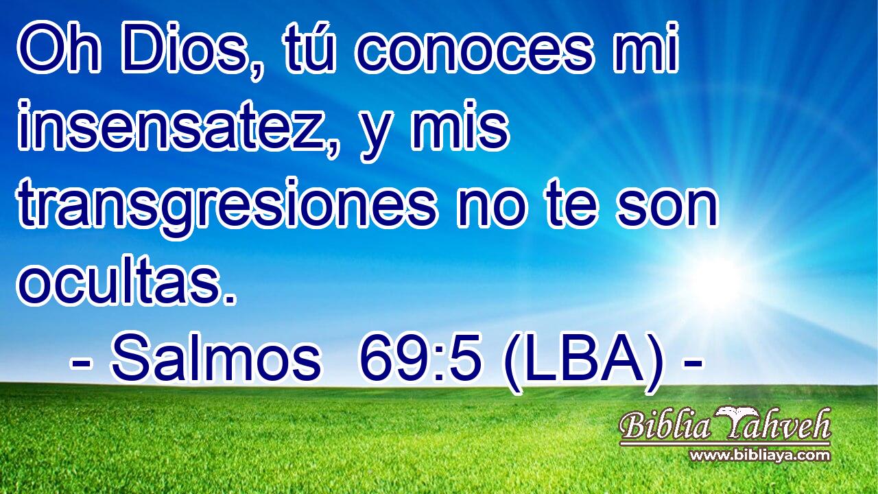 Oh Dios, tú conoces mi insensatez, y mis transgresiones no te son ocultas.