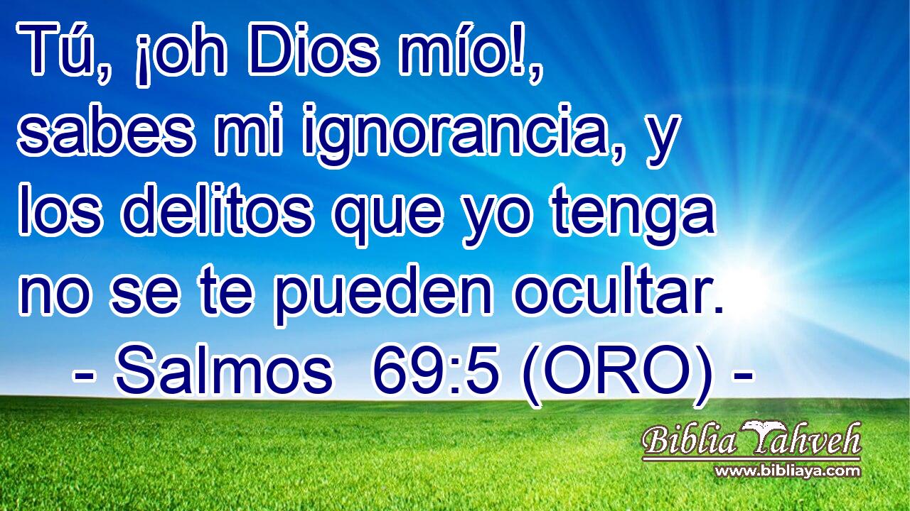  Tú, ¡oh Dios mío!, sabes mi ignorancia, y los delitos que yo tenga no se te pueden ocultar. 