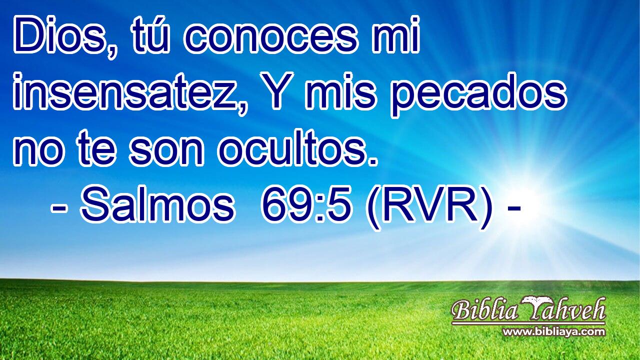 Dios, tú conoces mi insensatez, Y mis pecados no te son ocultos.