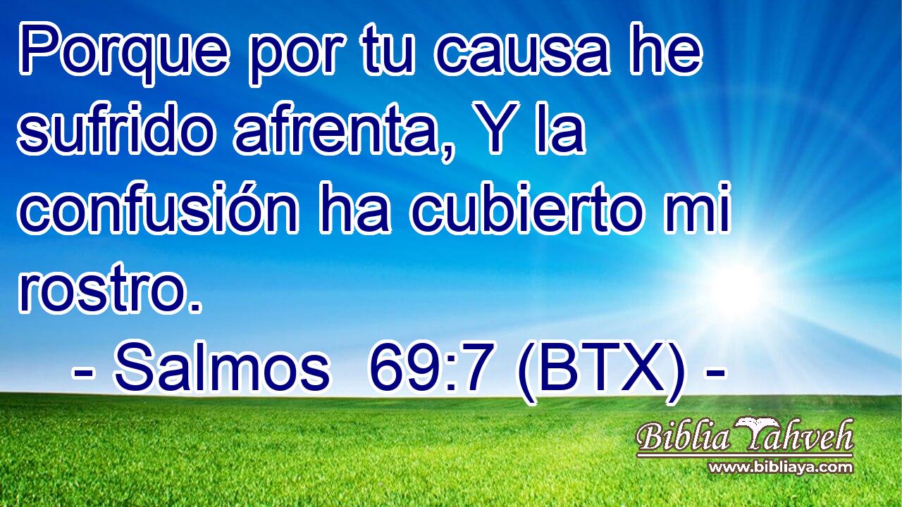 Porque por tu causa he sufrido afrenta, Y la confusión ha cubierto mi rostro.