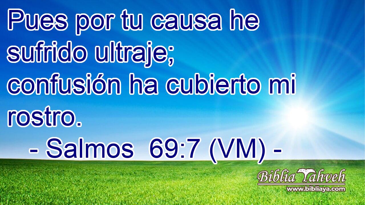  Pues por tu causa he sufrido ultraje; confusión ha cubierto mi rostro. 