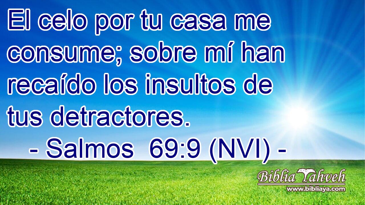  El celo por tu casa me consume; sobre mí han recaído los insultos de tus detractores. 