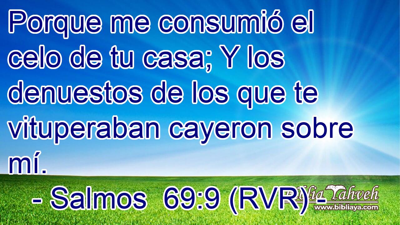 Porque me consumió el celo de tu casa; Y los denuestos de los que te vituperaban cayeron sobre mí.