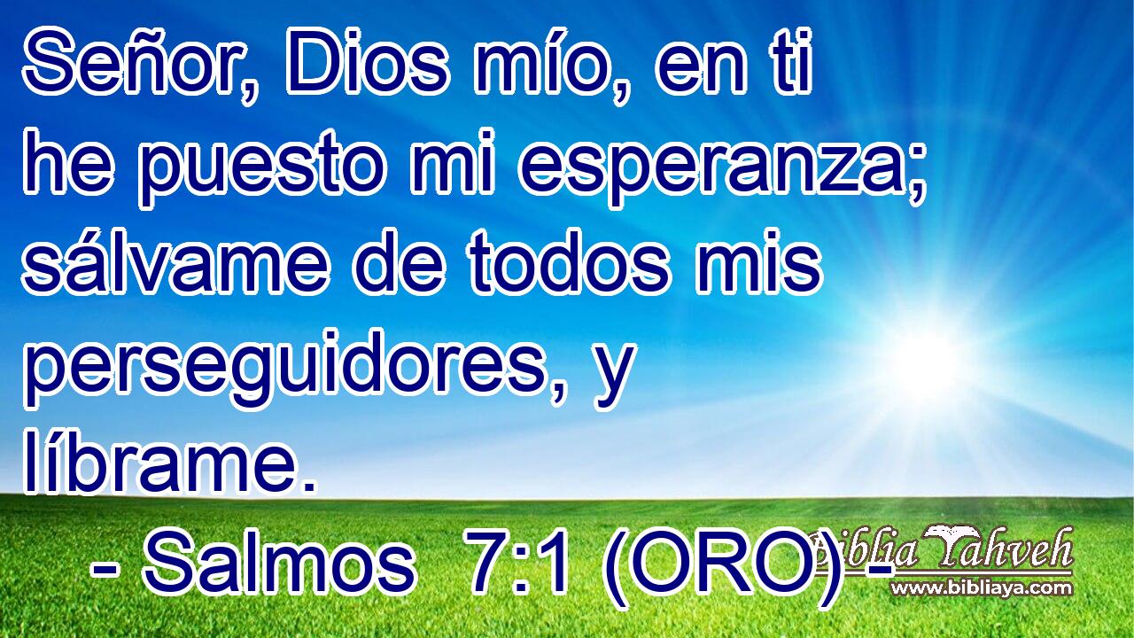  Señor, Dios mío, en ti he puesto mi esperanza; sálvame de todos mis perseguidores, y líbrame. 