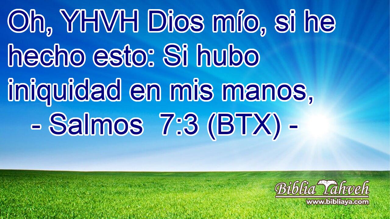 Oh, YHVH Dios mío, si he hecho esto: Si hubo iniquidad en mis manos,