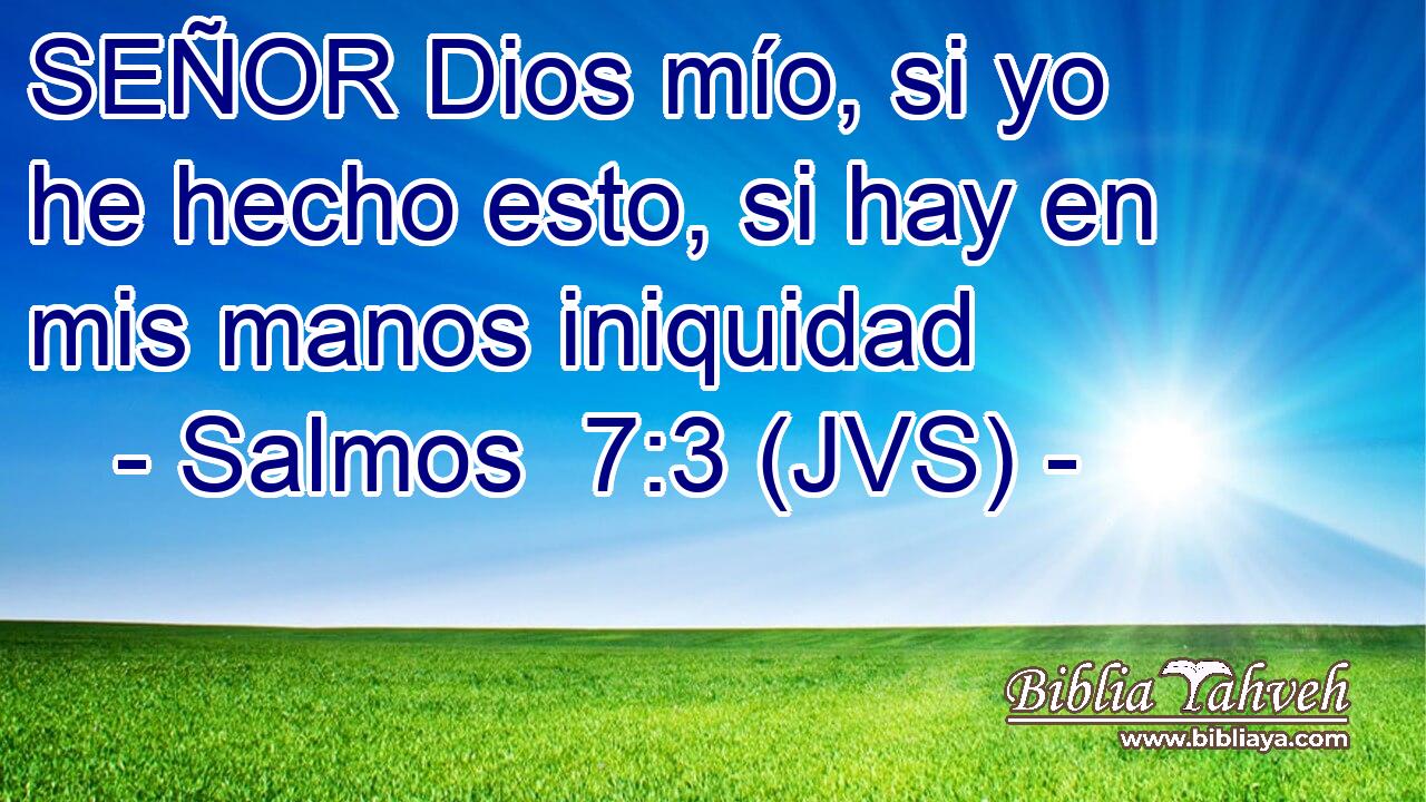 SEÑOR Dios mío, si yo he hecho esto, si hay en mis manos iniquidad