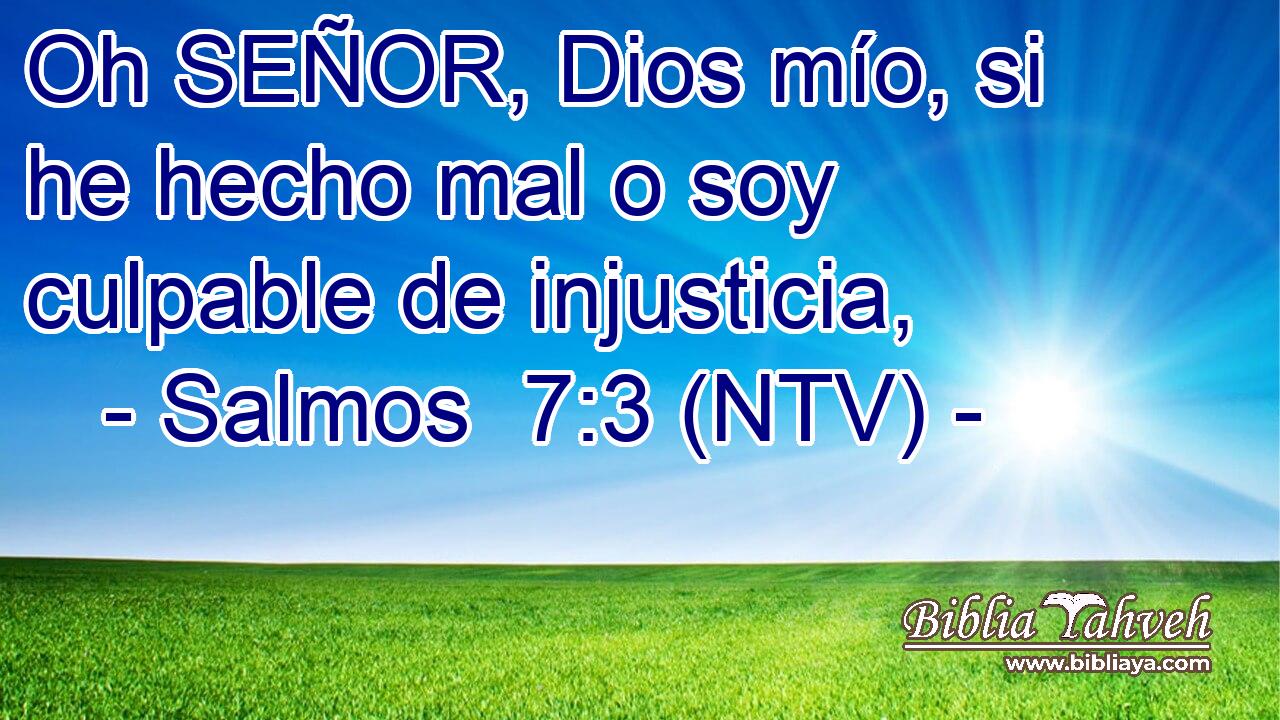 Oh SEÑOR, Dios mío, si he hecho mal o soy culpable de injusticia,